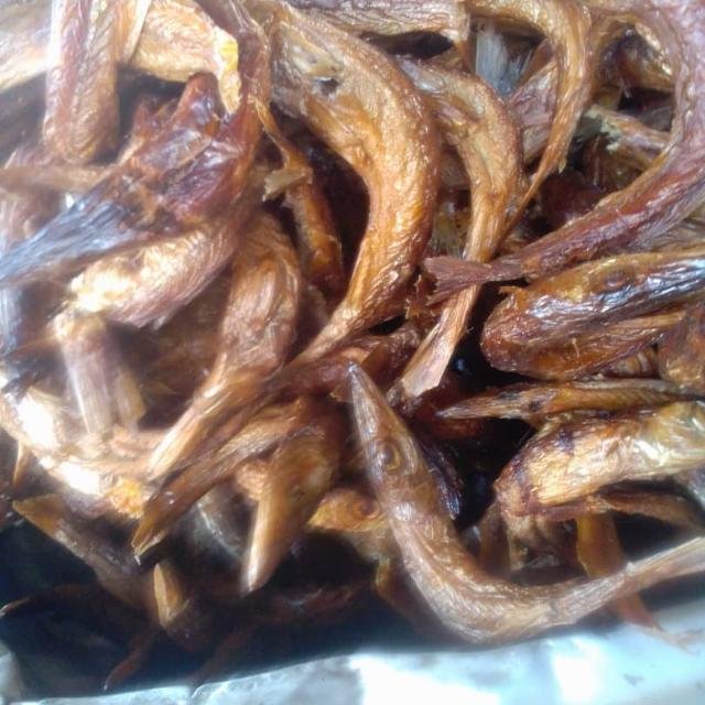 Poisson M.