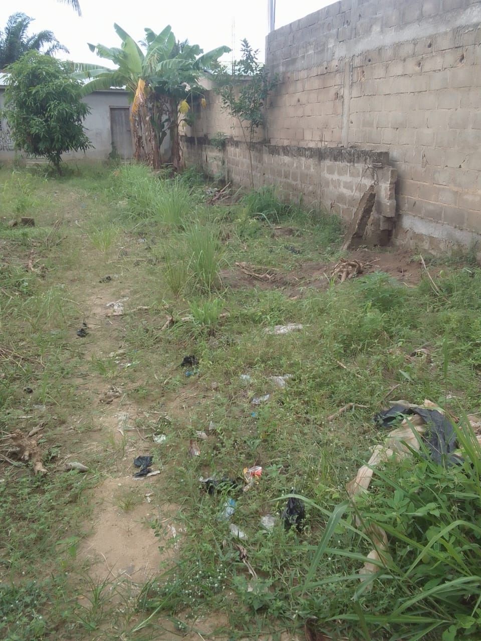 1/2 lot à vendre à Ahonkoé vers quartier Belgique